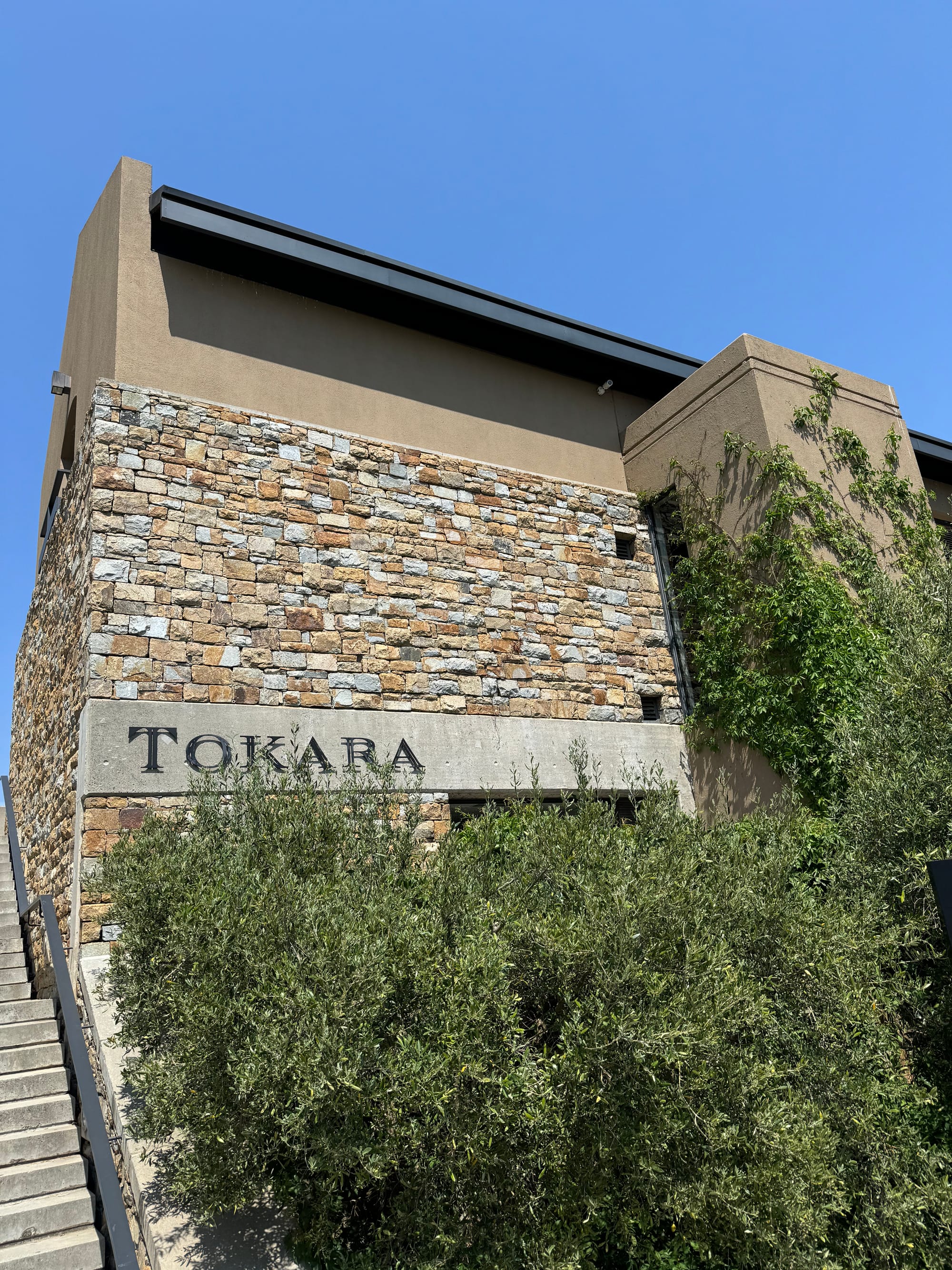 South Africa Wineries | Wine & Olive Oil Tasting at Tokara Wine Estate