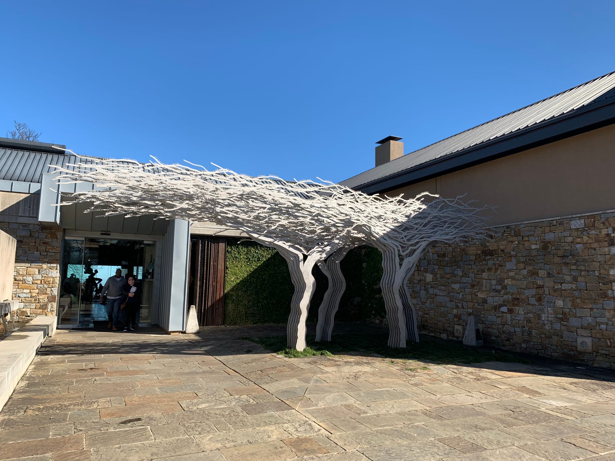South Africa Wineries | Wine & Olive Oil Tasting at Tokara Wine Estate