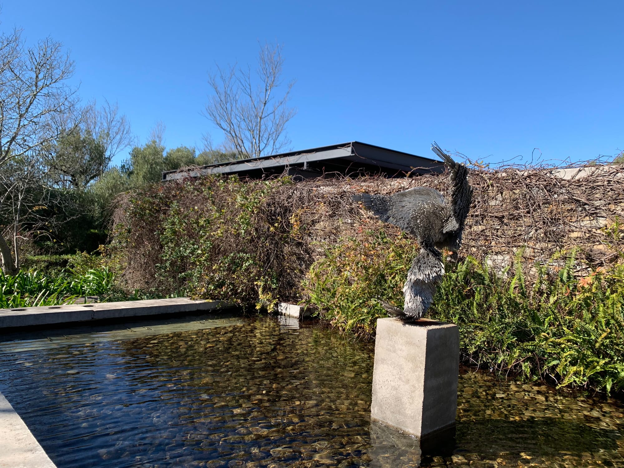 South Africa Wineries | Wine & Olive Oil Tasting at Tokara Wine Estate