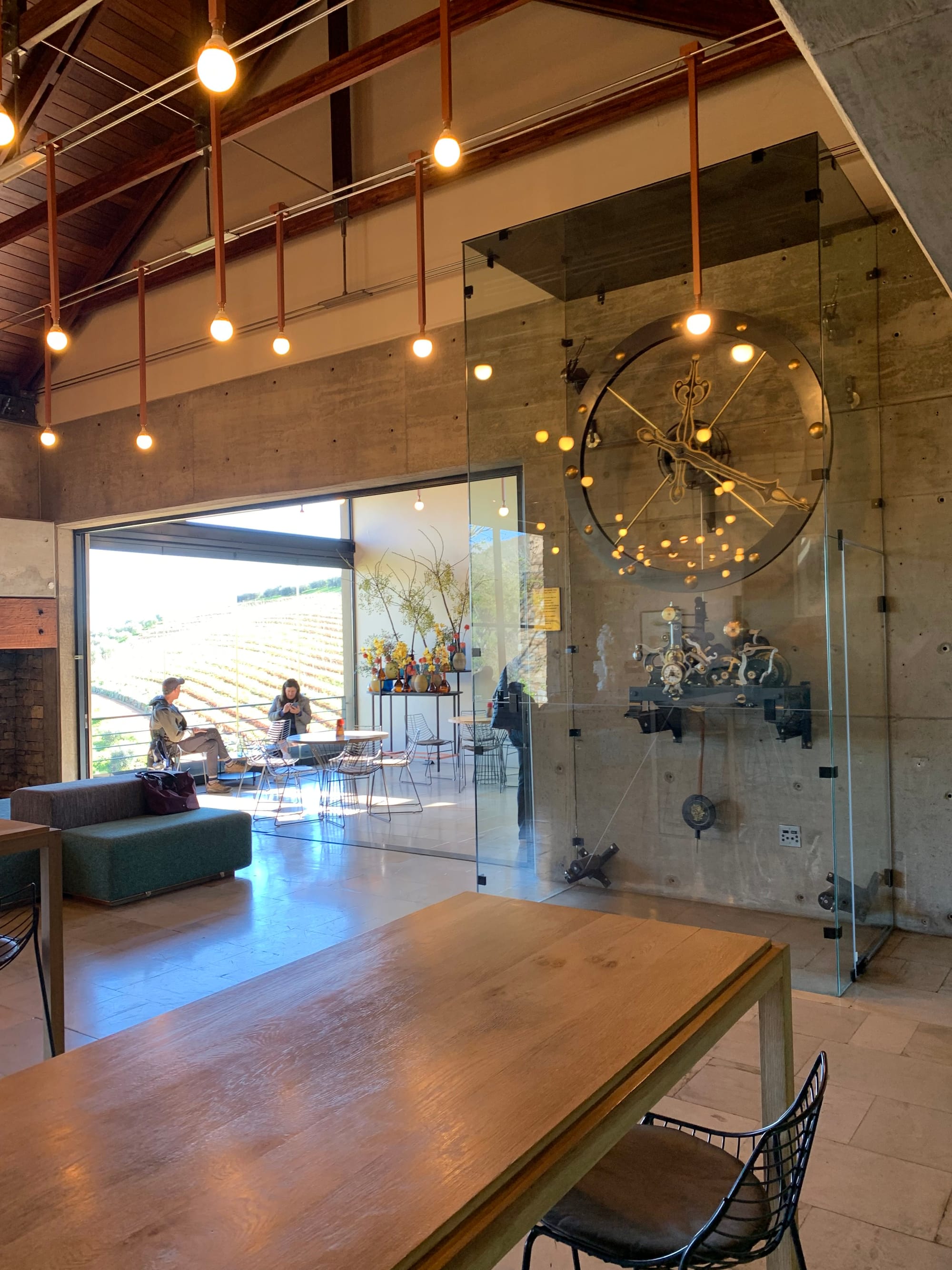South Africa Wineries | Wine & Olive Oil Tasting at Tokara Wine Estate