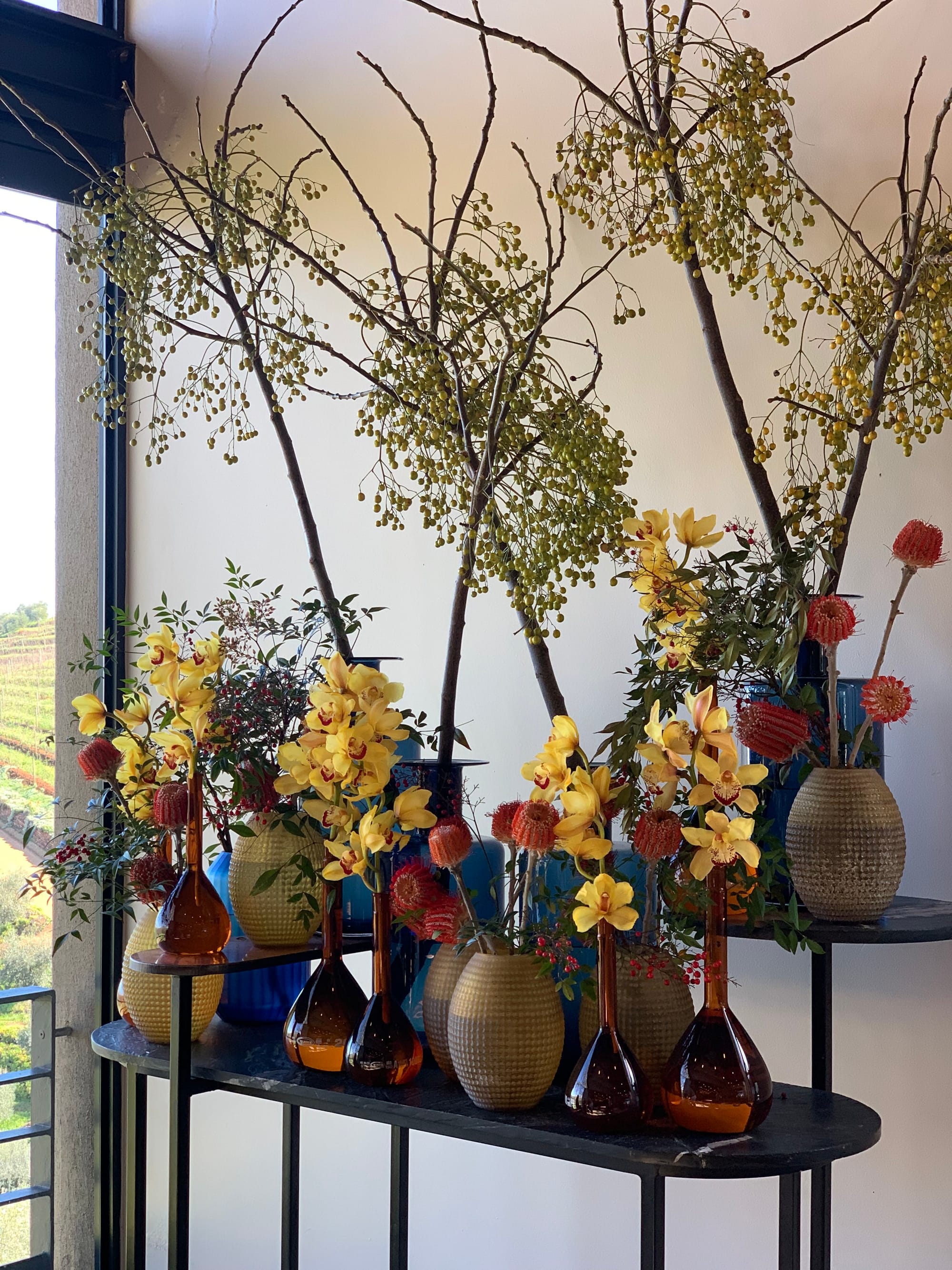 South Africa Wineries | Wine & Olive Oil Tasting at Tokara Wine Estate