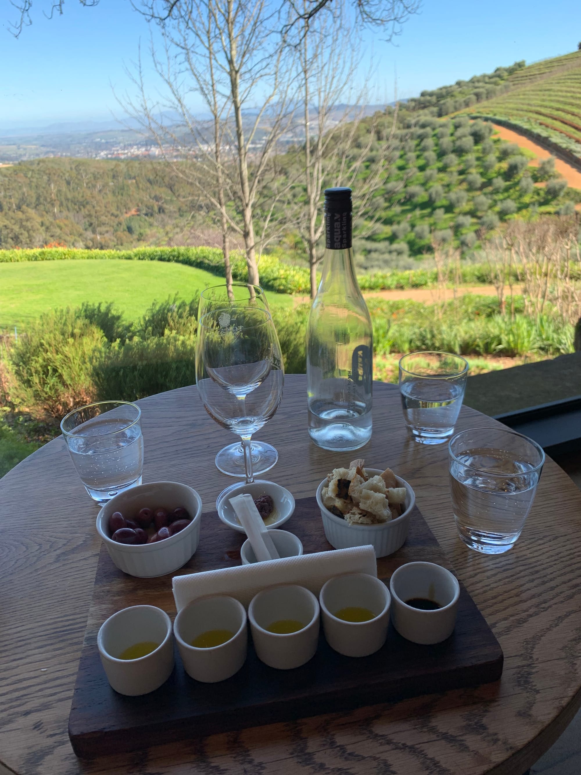 South Africa Wineries | Wine & Olive Oil Tasting at Tokara Wine Estate