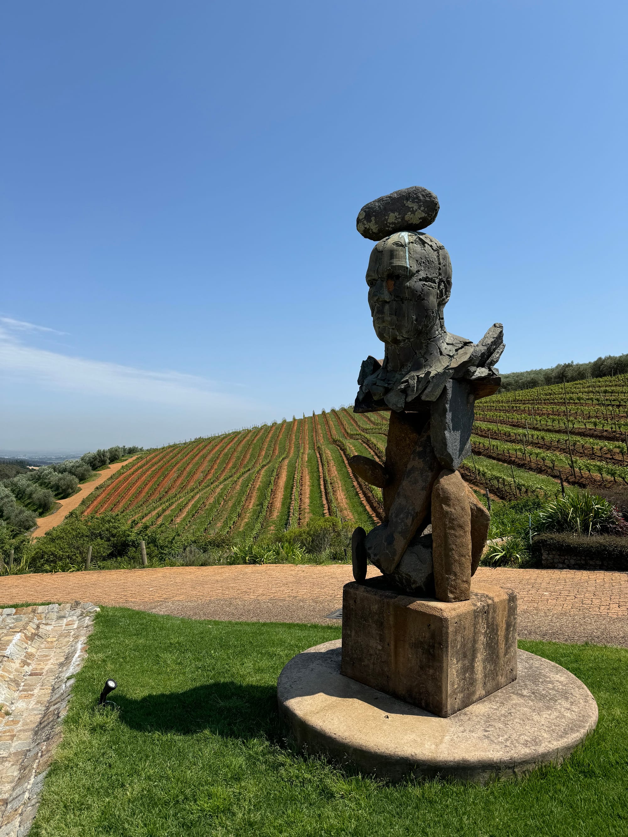 South Africa Wineries | Wine & Olive Oil Tasting at Tokara Wine Estate