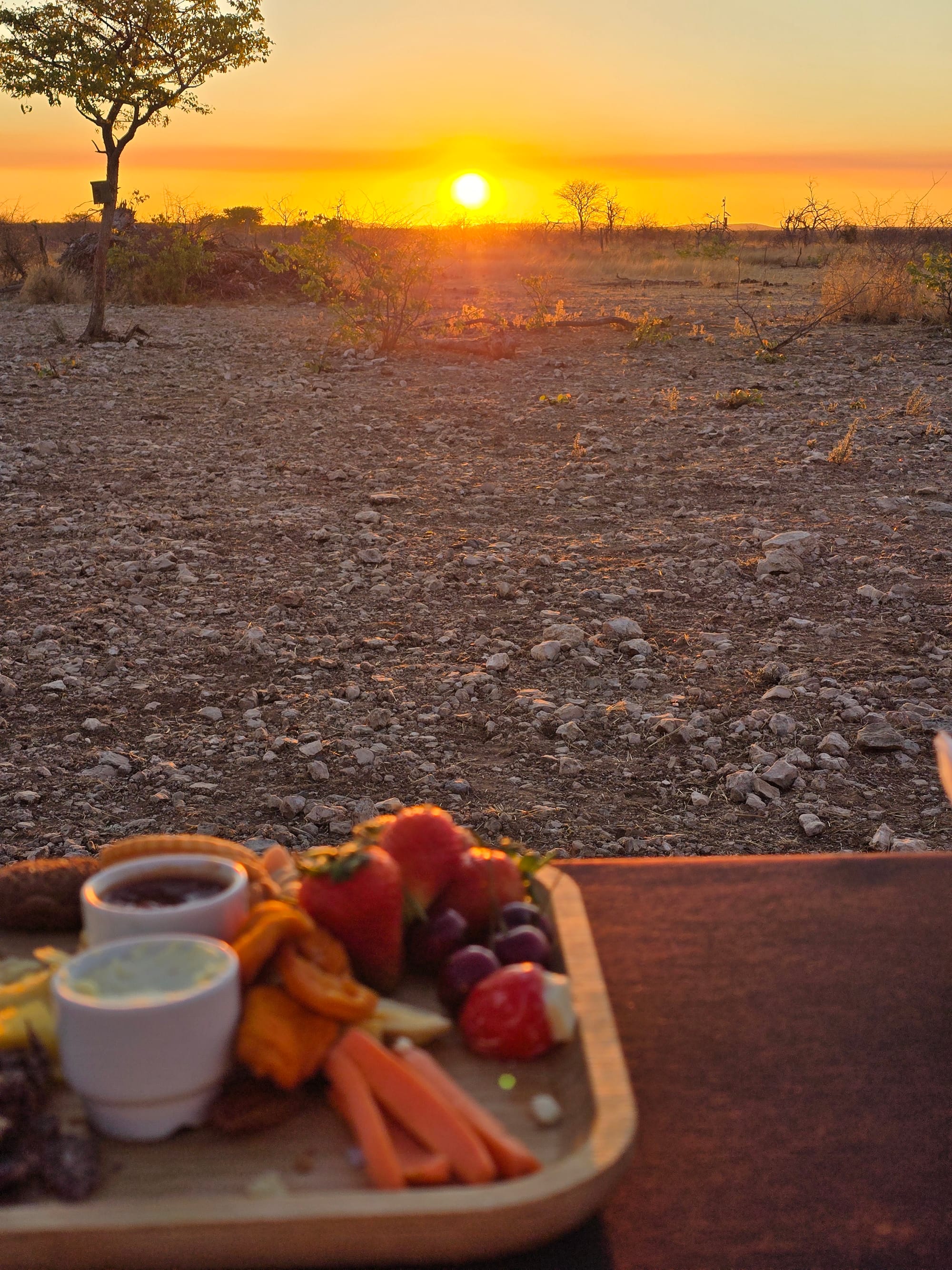 Namibia | The Most Unforgettable Sundowner with Rhinos