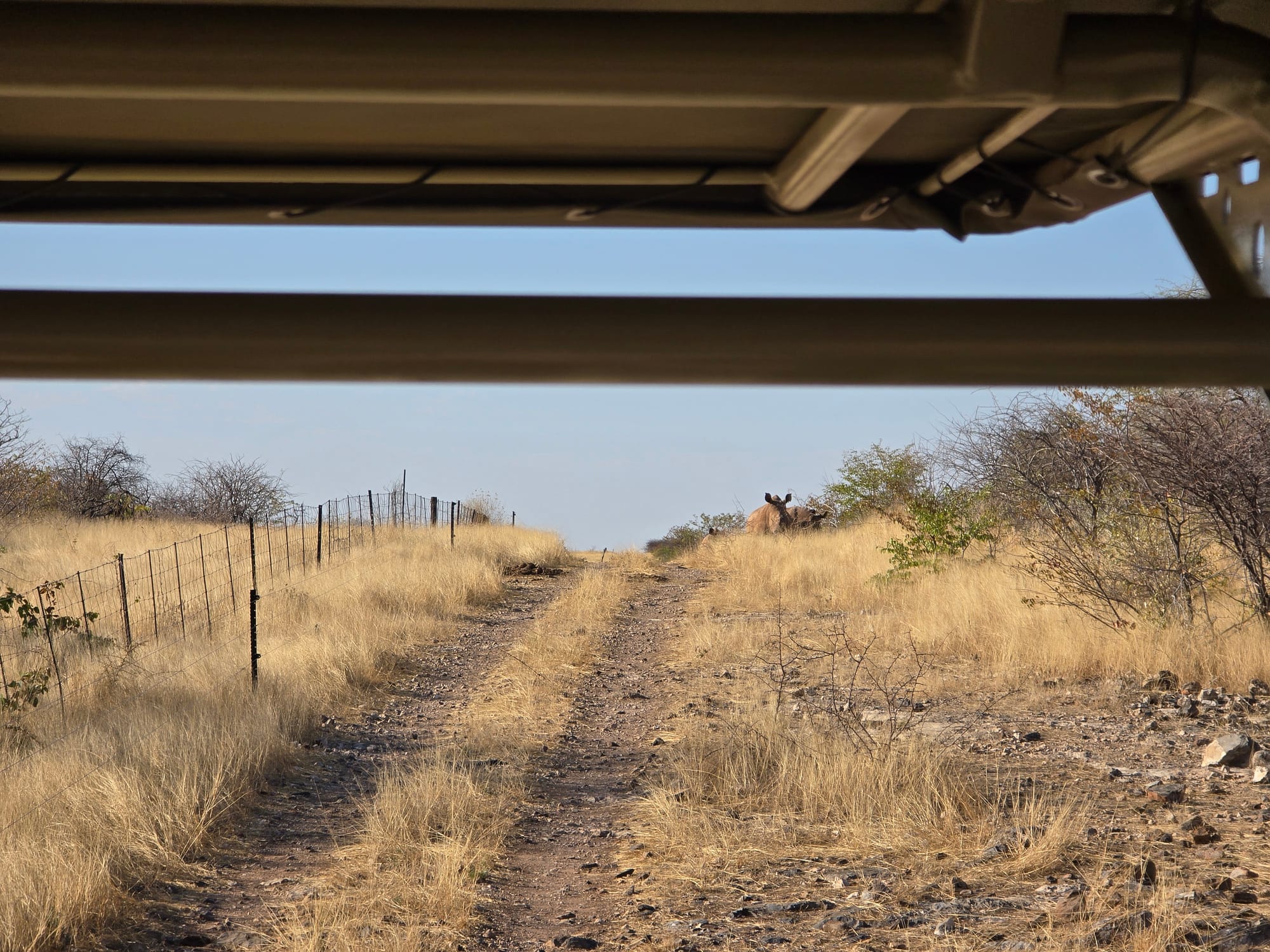 Namibia | The Most Unforgettable Sundowner with Rhinos