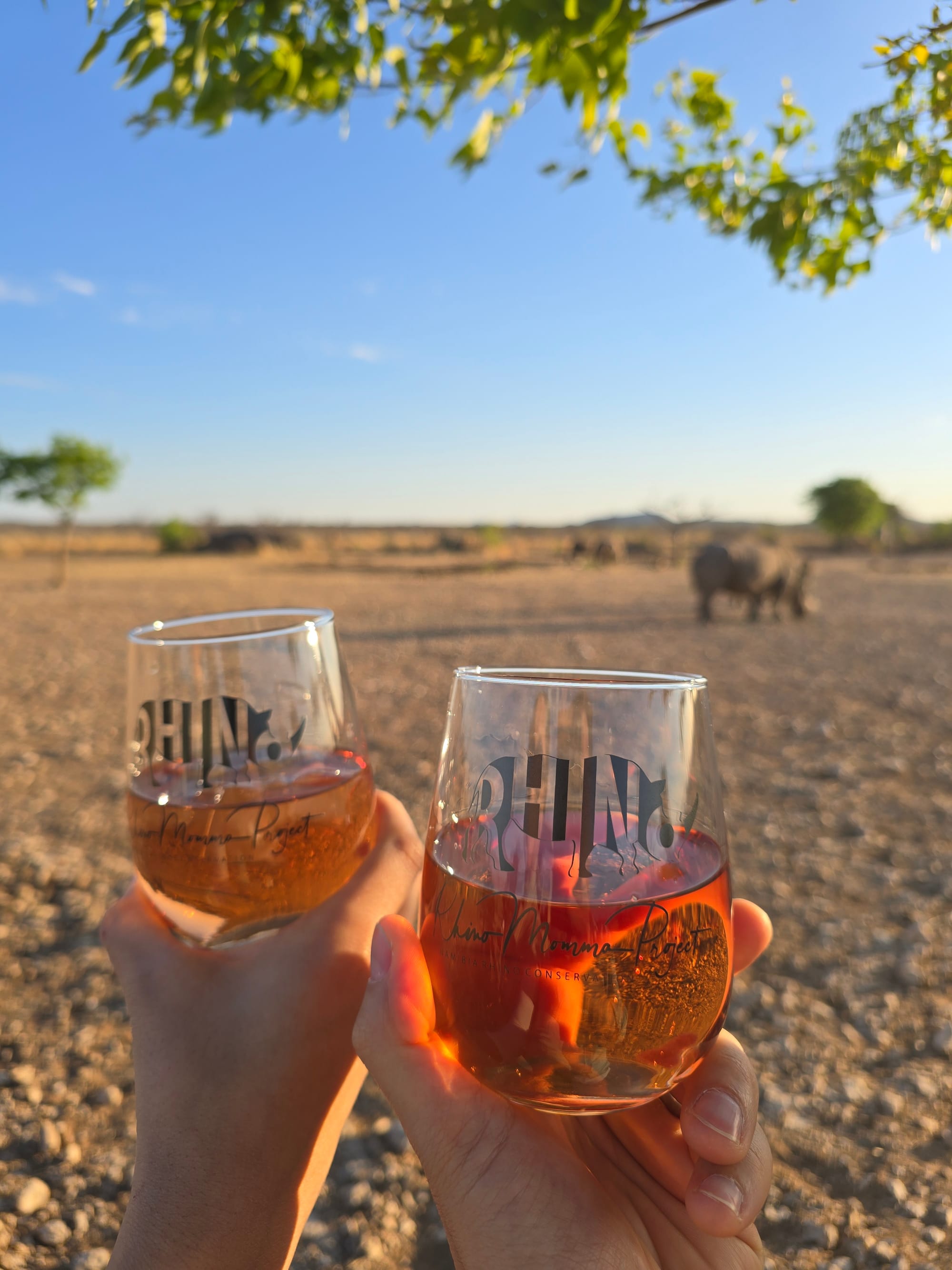 Namibia | The Most Unforgettable Sundowner with Rhinos