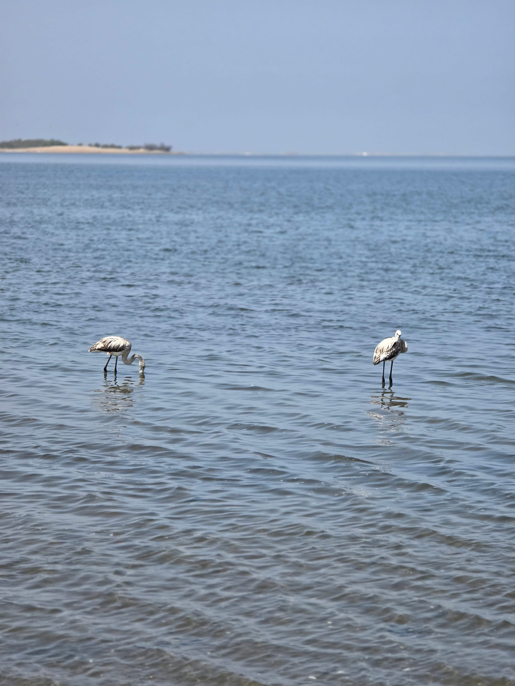 Namibia | An Atlantic detour to Swakopmund & Walvis Bay