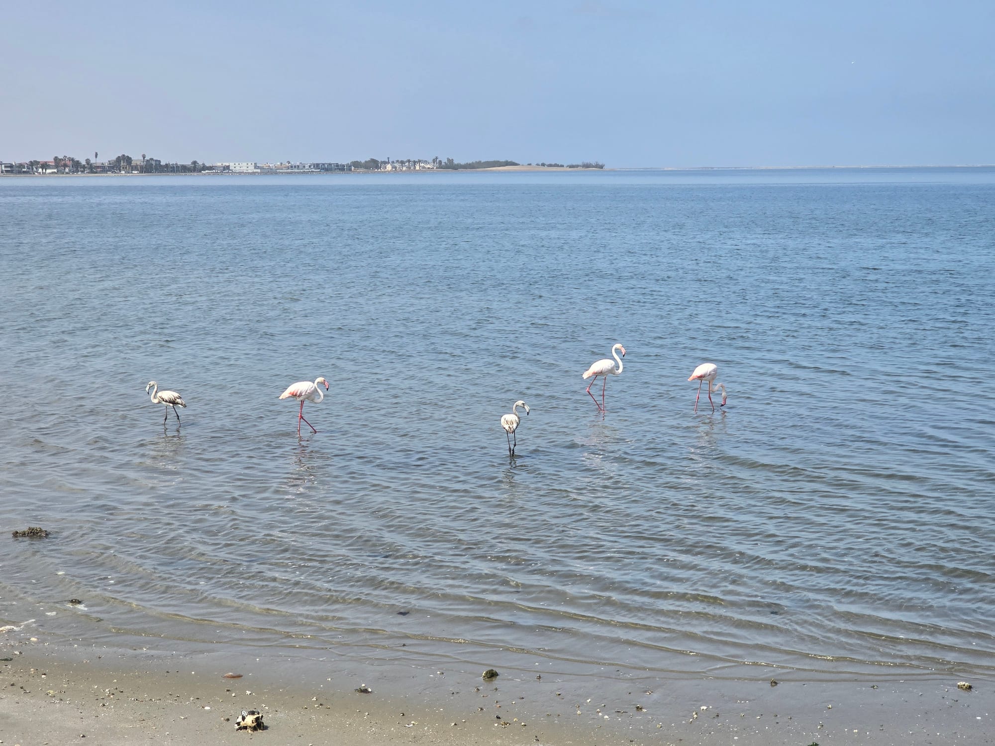 Namibia | An Atlantic detour to Swakopmund & Walvis Bay