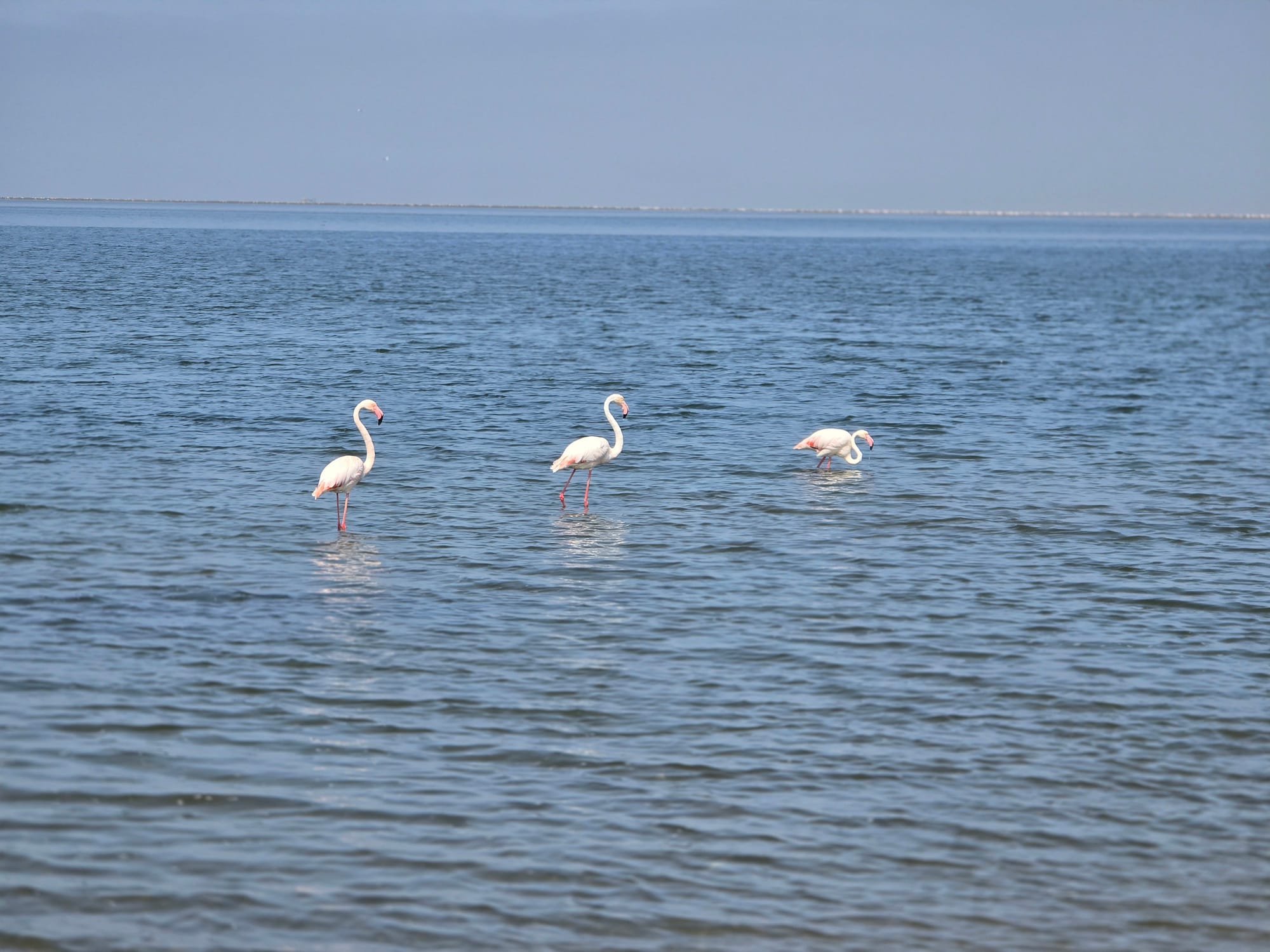 Namibia | An Atlantic detour to Swakopmund & Walvis Bay