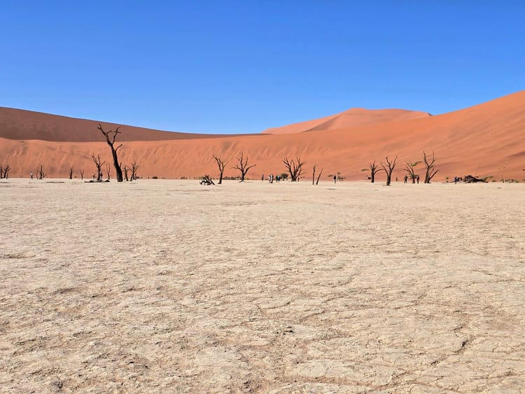 Our 7-day self-driving trip in Namibia