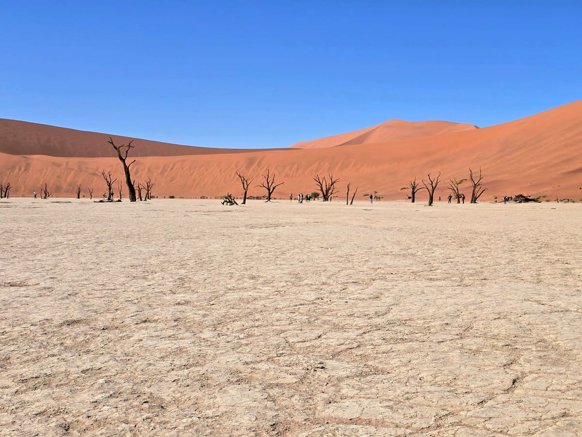 Namibia | Why Self-Driving is the best option