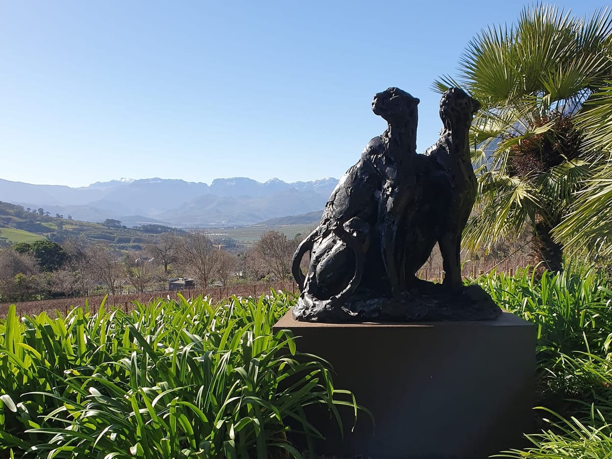 Namibia | The Erongo Mountain Winery & Two Beards Coffee